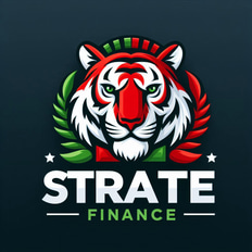 StratéFinance Conseil logo