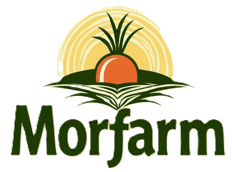 morfarm logo