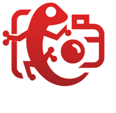 Fotografia Erotica logo