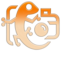 Fotografia Erotica logo