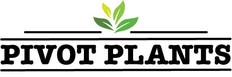 pivot plants logo