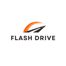 FLASH DRIVE logo