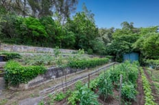 Vue du grand potager d'une propriété historique à Marseille, par photographe immobilier professionnel dans le Var et les envi