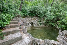 Piscine naturelle entourée de verdure sur un vaste terrain de maison de maître à Marseille, photographe immobilier Var