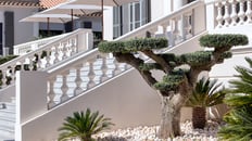 Une photographie de détail, zoom sur la végétation d’un hôtel de luxe à Saint-Tropez.