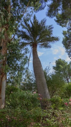 Prise de vue extérieure d'une villa de luxe à Sanary-sur-Mer, dans le Var (83).