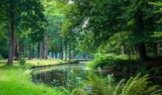 ballade-promenade-forêt-jardin