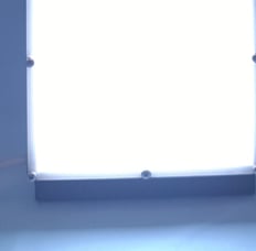 True Back Light
