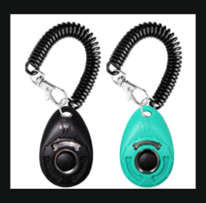 a pair of keychains with a camera attached to a keychain