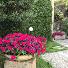 view of flowers in stone spots at villa ombrosa garden