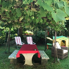 spot of the tabel under grape tree at the main garden in villa ombrosa