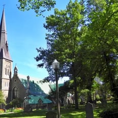clocher, arbres, église, bibliothèeque