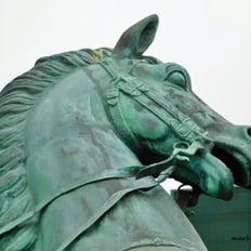 parc Amérique latine. tête de cheval.