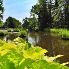 Parc des moulins, herbe.