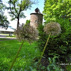 Parc des moulins, moulin.