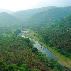 a river running through a lush green forest