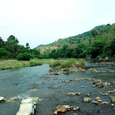 a river with rocks and rocks in the foreground