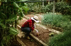 woman digging in garden