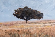 Close-up of textured acrylic painting focusing on a single dark tree standing in a field of muted earth tones.