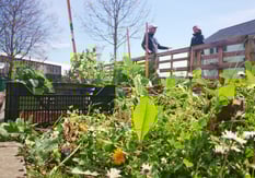 jardin partagé campus mazier