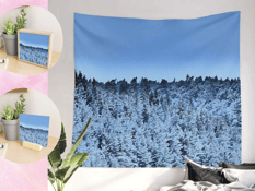 Forest printed on a wall tapestry same image on small prints in circle inserts