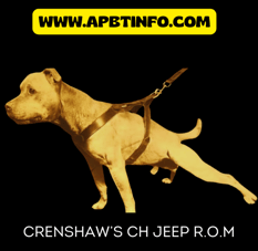 CRENSHAW CH JEEP APBT GAMEDOG