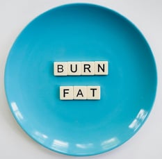 fat burning diet, meal plan pdf, weight loss meal plan online