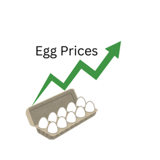 egg prices and recipes