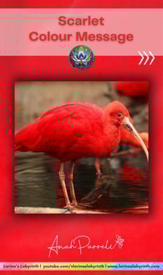 Colour message: Power of Scarlet Red. Colour Healing, Color Healing