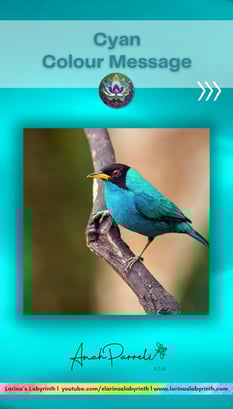 Colour Messenger: Power Of Cyan Blue. Colour Healing; color healing