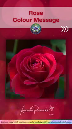 Colour Messasges: Power of the colour Rose. Colour Healing. Color healing.
