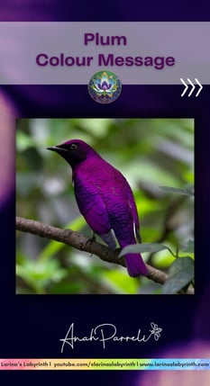 Colour message: Power of Plum Purple. Colour Healing, Color Healing