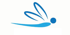 Concept Joias Brasil logo