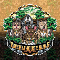 Dreamhouse Bulls logo