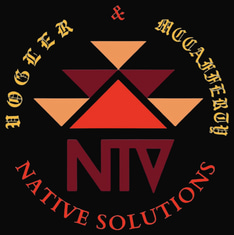 Native solutions logo