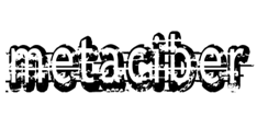 metaciber logo
