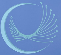 Network Express Transportation LLC logo