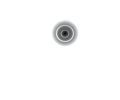 Gold Vision logo