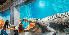 3D World Selfie Museum