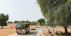 Dubai Safari Park