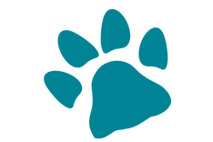 Coussinet chien bleu canard