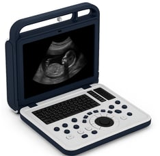 Veterinary Ultrasound in Dubai / UAE