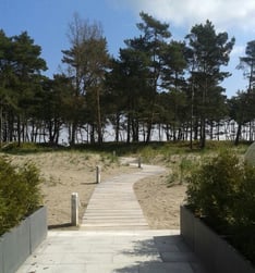 der weg von hausausgang zu strand. holzdielen führen durch die dünenlandschaft zum kiefernwäldchen