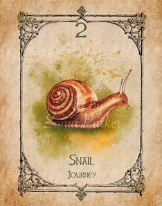 Snail, a card from the animal spirit oracle deck