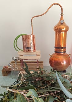 destilacao de plantas para extracao de oleos essenciais