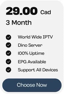 3 months subscription