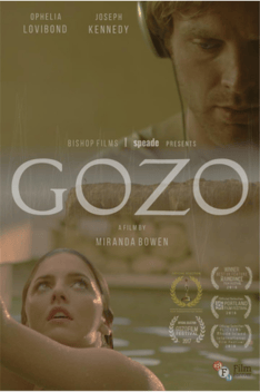 Poster for the movie, Gozo.