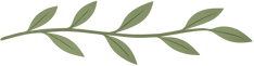 Leaf Border
