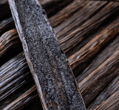 extract grade vanilla supplier