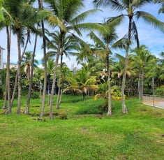 Big Island Hawaï